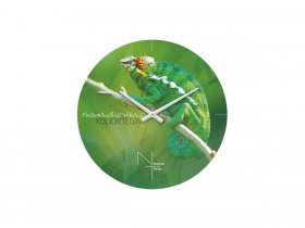 Часы настенные Nicole Time NT503 в Керамкомбинате - keramkombinat.mebel-nsk.ru | фото